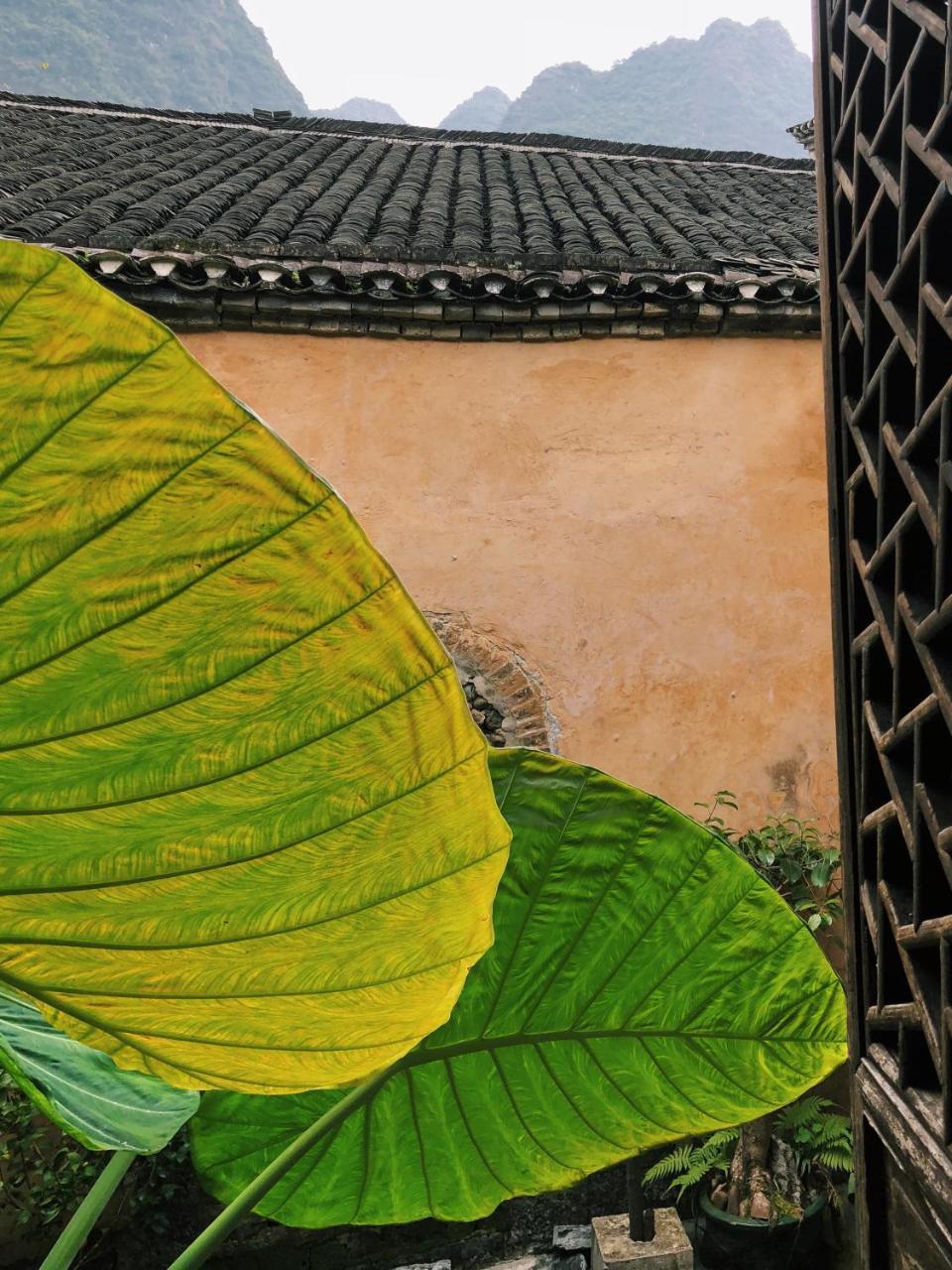 Laojia, A Qing Dynasty House Daire Guilin Dış mekan fotoğraf